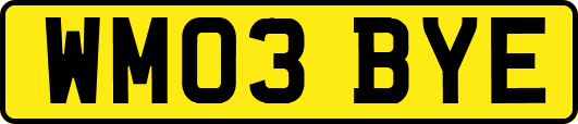 WM03BYE