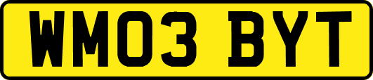 WM03BYT