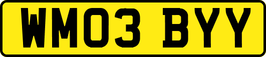 WM03BYY