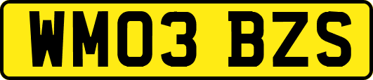 WM03BZS