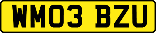 WM03BZU
