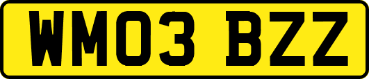 WM03BZZ