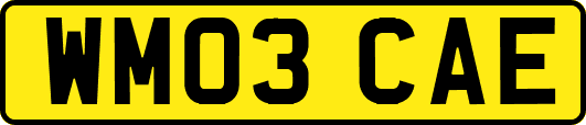 WM03CAE