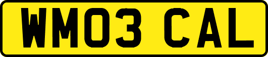 WM03CAL
