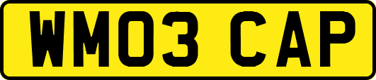 WM03CAP