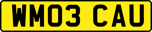 WM03CAU
