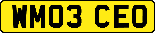 WM03CEO