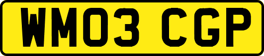 WM03CGP