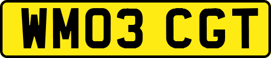 WM03CGT