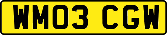 WM03CGW