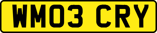 WM03CRY