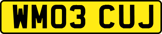 WM03CUJ