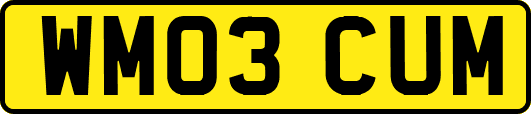 WM03CUM