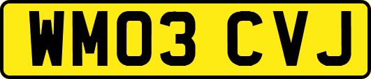 WM03CVJ