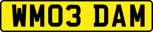 WM03DAM