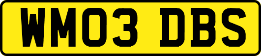WM03DBS