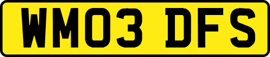 WM03DFS