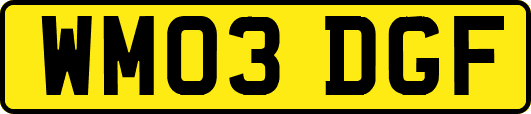 WM03DGF
