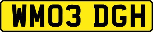 WM03DGH