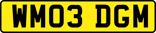 WM03DGM