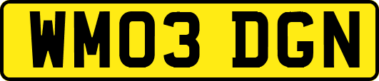 WM03DGN