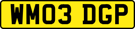 WM03DGP