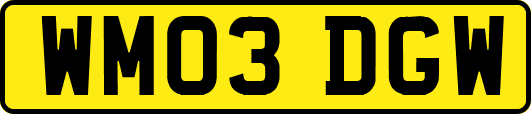 WM03DGW