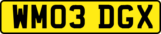WM03DGX