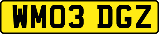 WM03DGZ