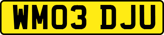 WM03DJU