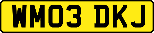 WM03DKJ