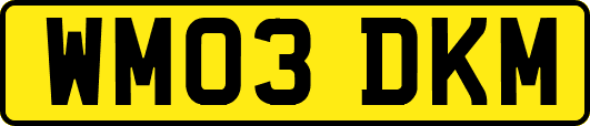 WM03DKM