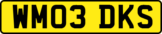 WM03DKS