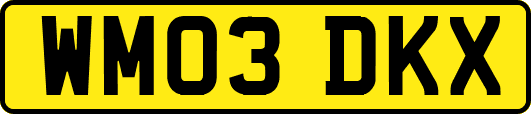 WM03DKX