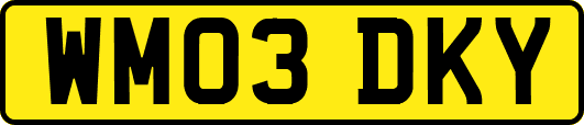 WM03DKY