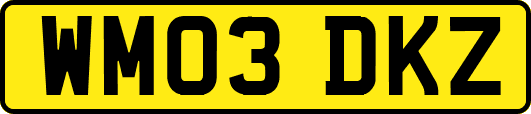 WM03DKZ