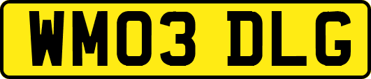 WM03DLG