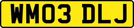 WM03DLJ