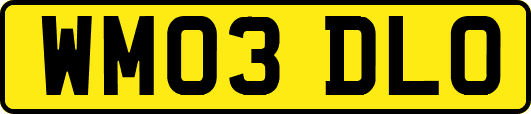 WM03DLO
