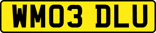 WM03DLU