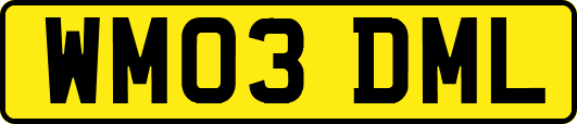 WM03DML