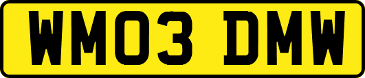 WM03DMW