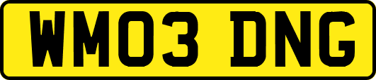 WM03DNG