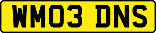 WM03DNS