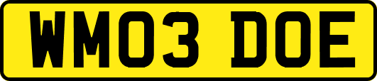 WM03DOE