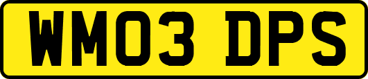 WM03DPS