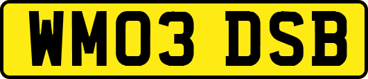 WM03DSB