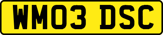 WM03DSC