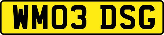 WM03DSG