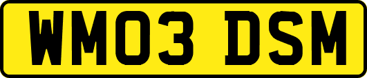 WM03DSM
